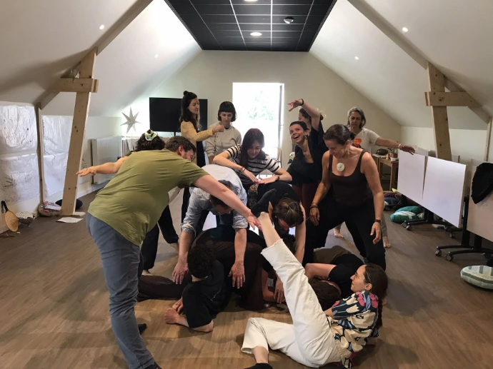 intelligence collective